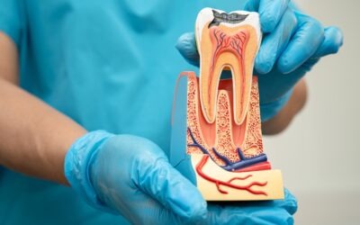 Endodoncia en Vitoria: qué es, cómo se hace y cuándo salva un diente